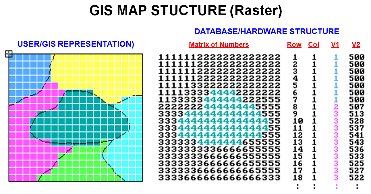 difference between vector and raster data in gis