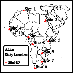 Africa.gif (4878 bytes)